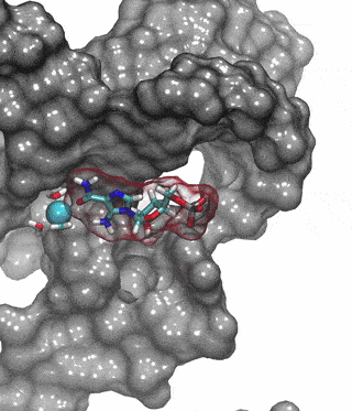 Small-molecule ligand in an RNA binding pocket