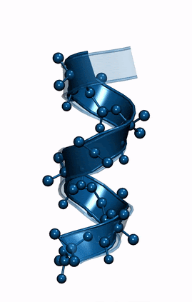(Aib)9 polypeptide helical transition