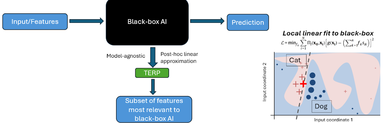 TERP: model-agnostic post-hoc explanation of a black-box AI model